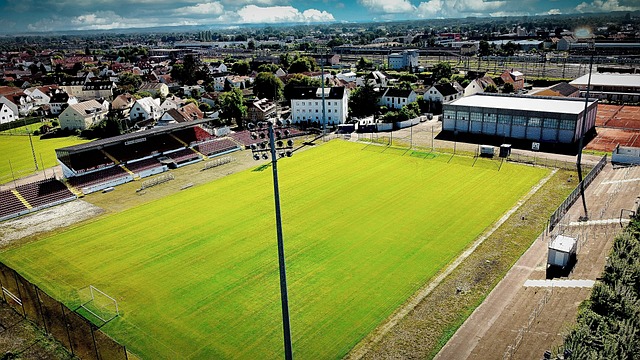 会了我不仅 会了我不仅