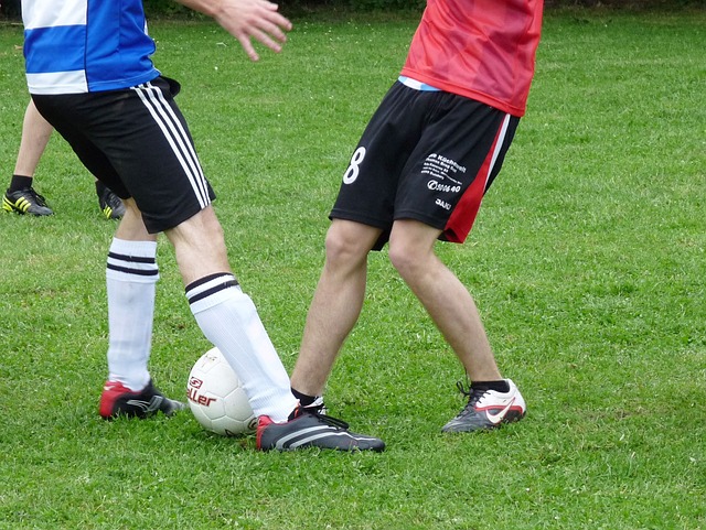 续关注的重 续关注的重