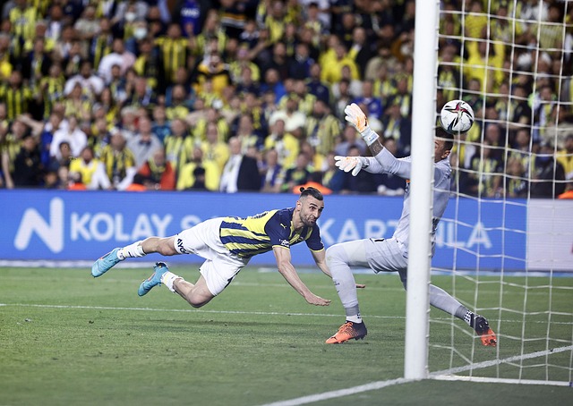 历史与未来 历史与未来