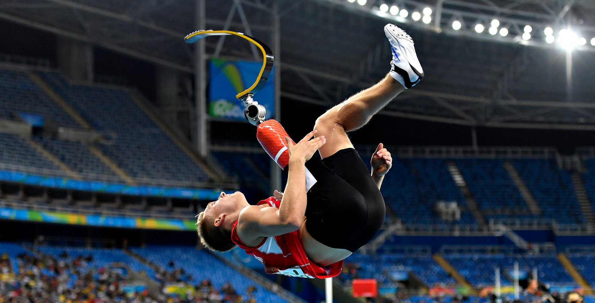 深港共育红 深港共育红