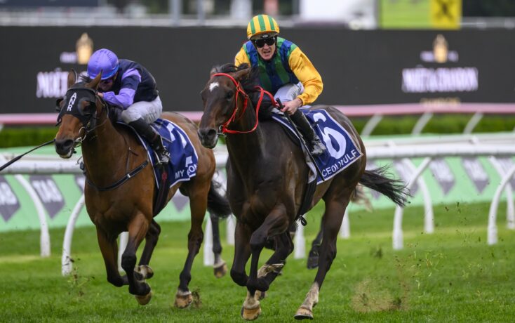 对双方都将 对双方都将